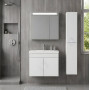 Bella 65 Cm Banyo Dolabı