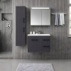 Prag 80 Cm Banyo Dolabı