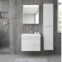 Suadiye 65 Cm Banyo Dolabı